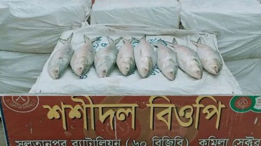 440 Kg of Hilsa Seized at Cumilla Border During Smuggling Attempt to India