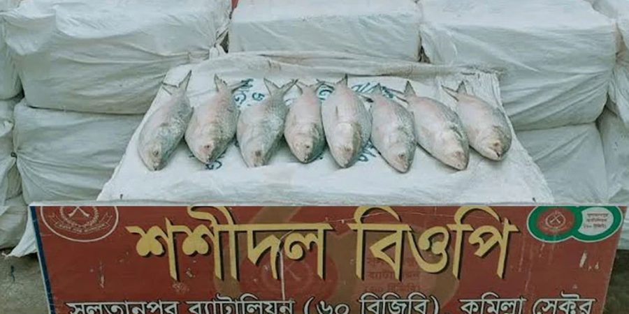 440 Kg of Hilsa Seized at Cumilla Border During Smuggling Attempt to India